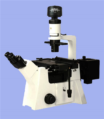 倒置熒光顯微鏡DFM-80C